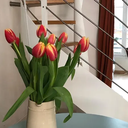 Apartamento Petit Lumineux Et Atypique à 14.
